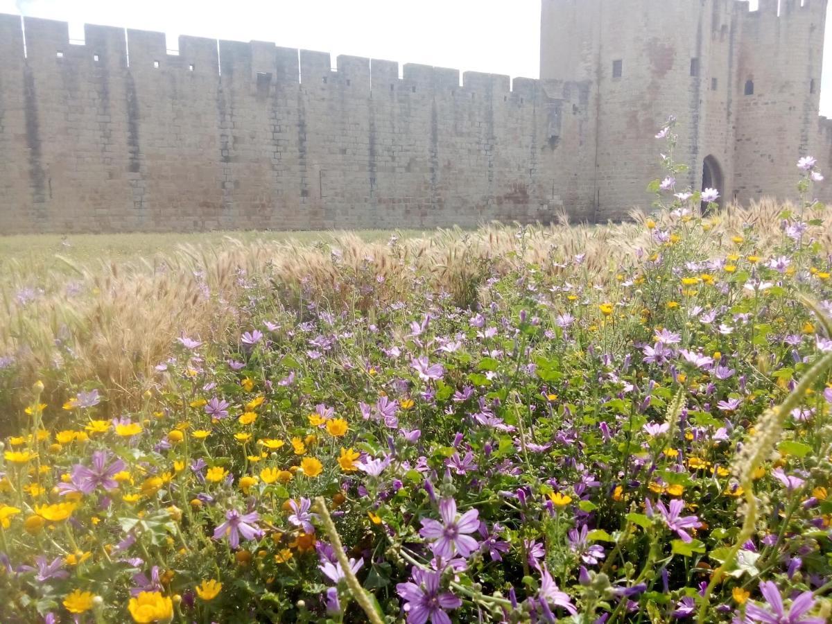 La Maison Perchee Aigues-Mortes Bagian luar foto