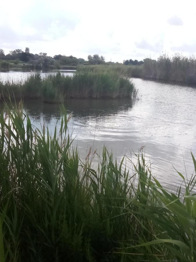 La Maison Perchee Aigues-Mortes Bagian luar foto