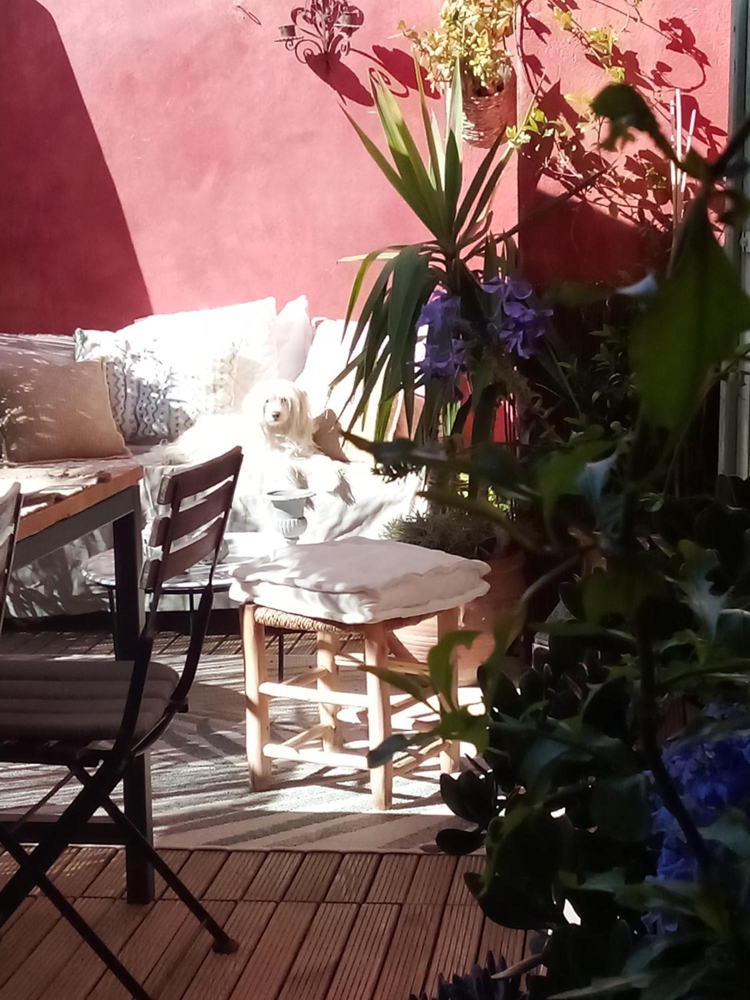 La Maison Perchee Aigues-Mortes Ruang foto